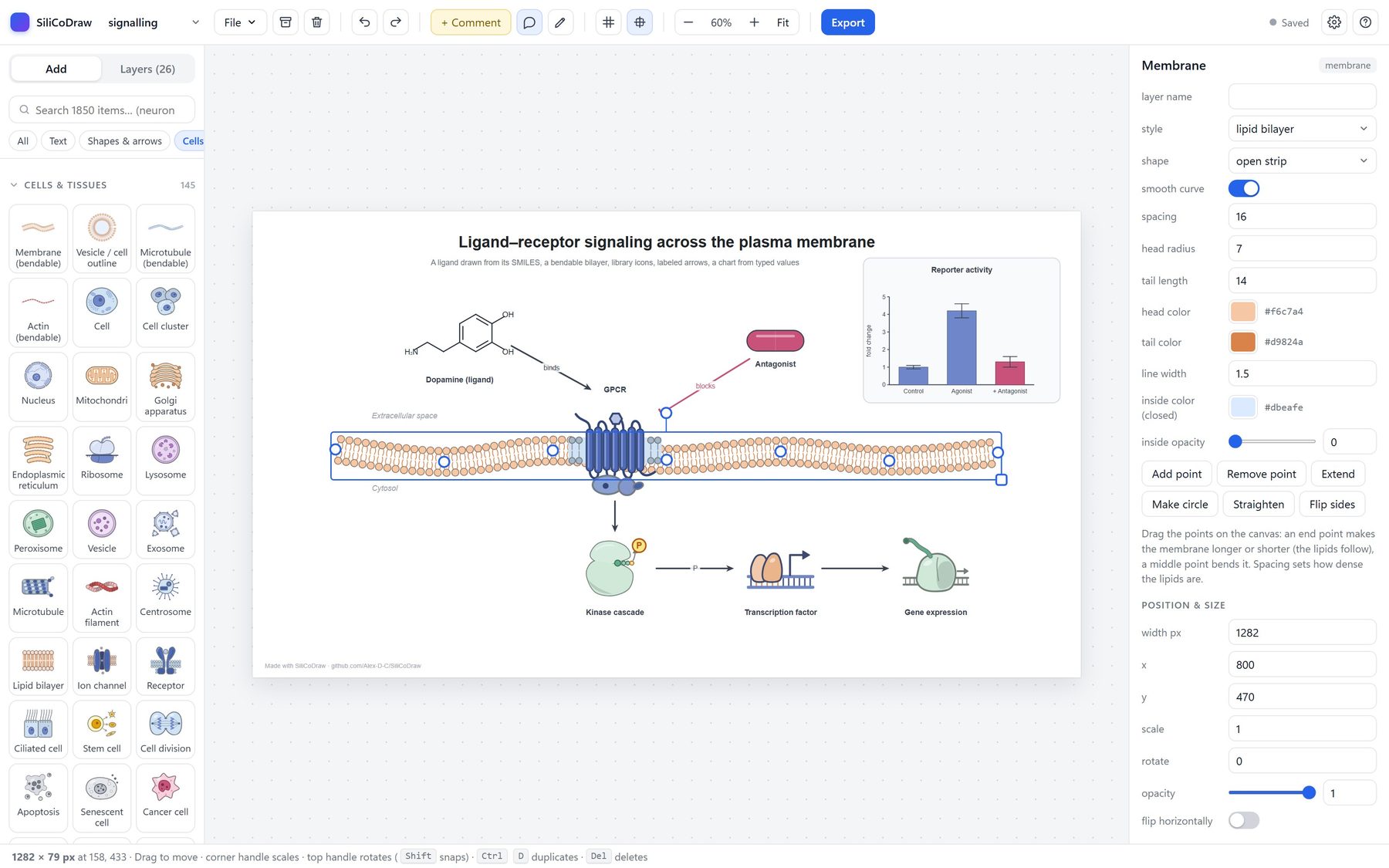 The SiliCoDraw editor: icon library on the left, a membrane signalling figure in the middle, properties on the right